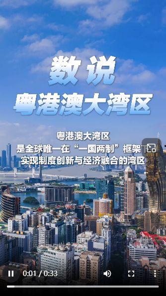 大湾区视频,融合创新，共筑未来新引擎