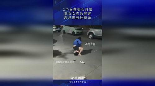 牛打蓝视频,一场别开生面的视觉盛宴